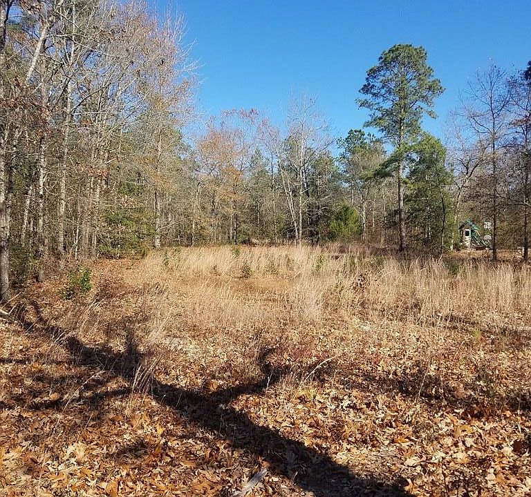 2nd image of 280 Taylor Mill Road LOT 10
