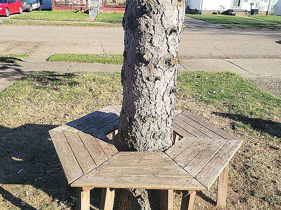 5th image of 2823 Gilbert Ave NE
