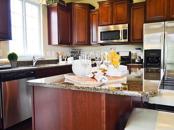 Model Representation