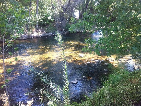 Provo River in Backyard
