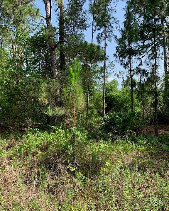 1st image of 3208 Savannah Sparrow Ave