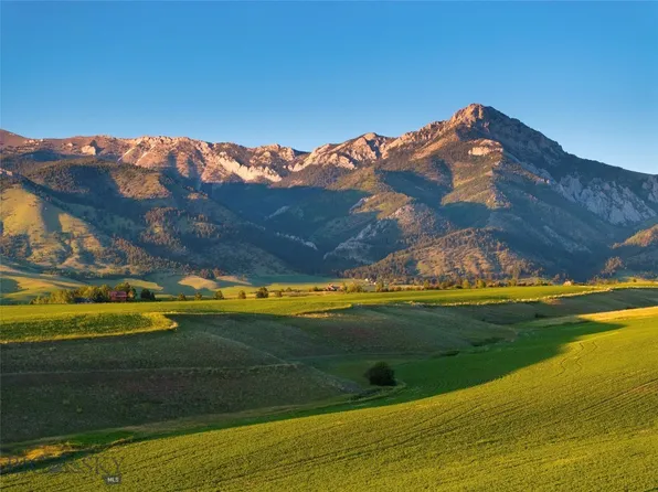 Walker Forswall, Belgrade, MT 59714