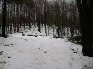 62 Harvey Smith Rd, Windsor, NY 13865