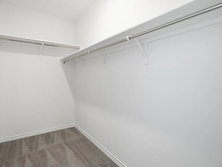 11634 Black Rose — Photo 14