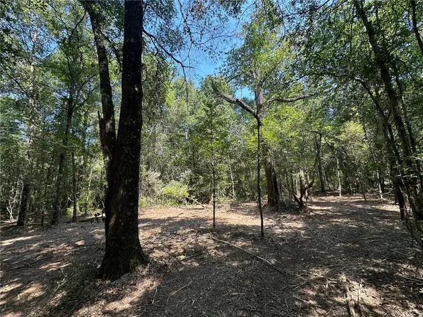 0 Danner Rd, Wilmer, AL 36587