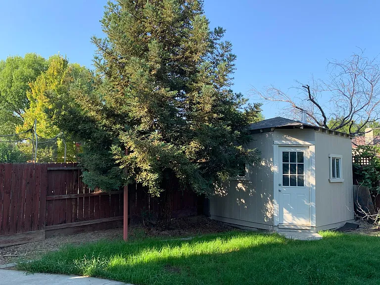 Shed in back yard
