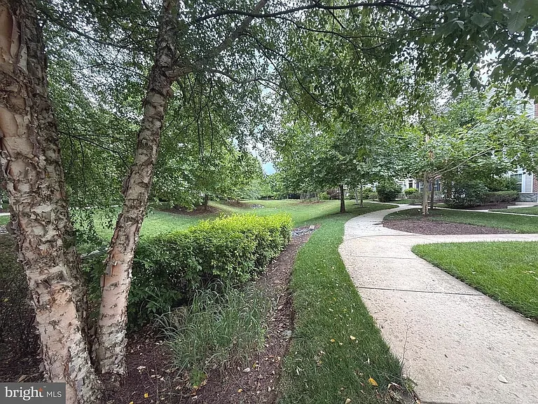 104 Vanguard Ln — Photo 14