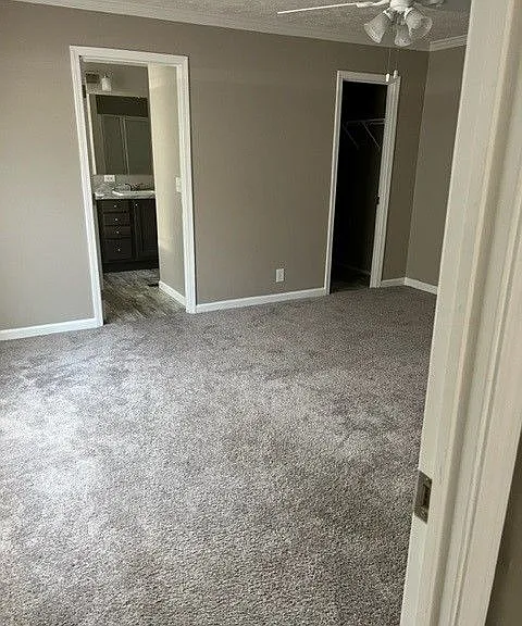 Palmetto Palms — Photo 44