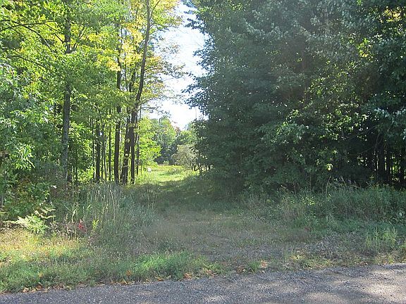 Access road fromBjorklund Rd