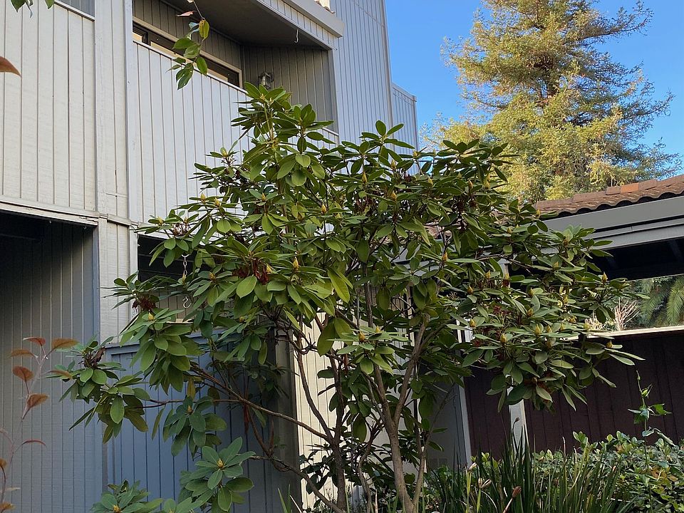 1st image of 20 Barneson Ave #E-1