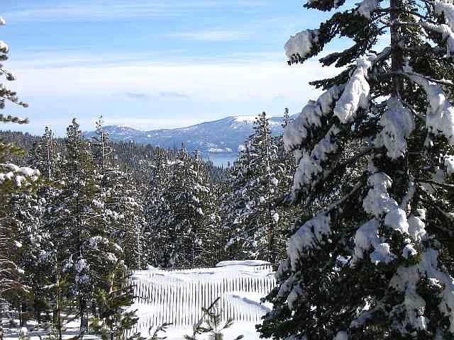 2nd image of 4037 Courcheval Rd