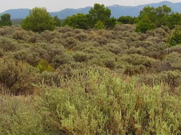 80 AC CR 86, San Luis, CO 81152