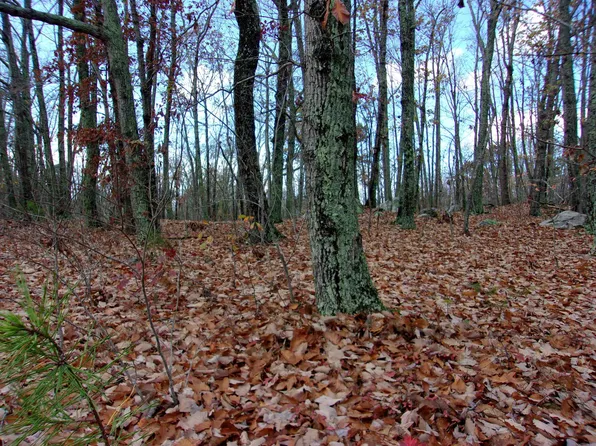 (undisclosed Address), Rougemont, NC 27572