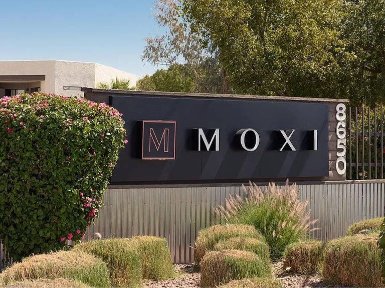 Moxi — Photo 6