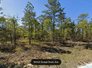 16323 Scaup Duck Ave, Weeki Wachee, FL 34614
