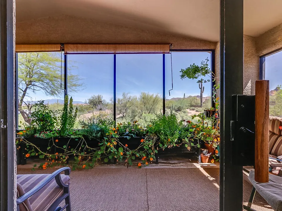 saguaro-48