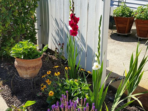 patio view 2