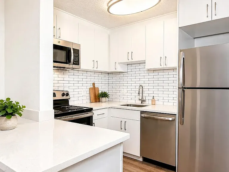 Stainless appliances