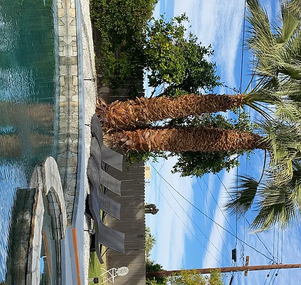 Primrose Dr — Photo 22