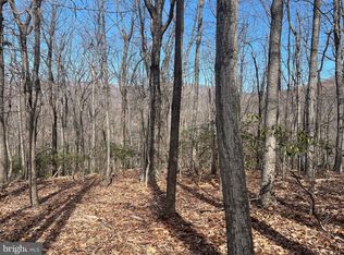 Crimms Run Ln, Washington, VA 22747