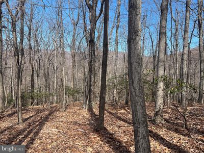 Crimms Run Ln, Washington, VA, 22747
