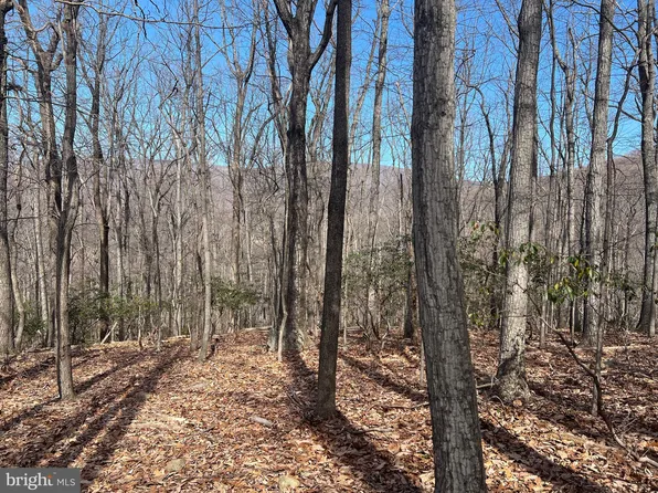 Crimms Run Ln, Washington, VA 22747