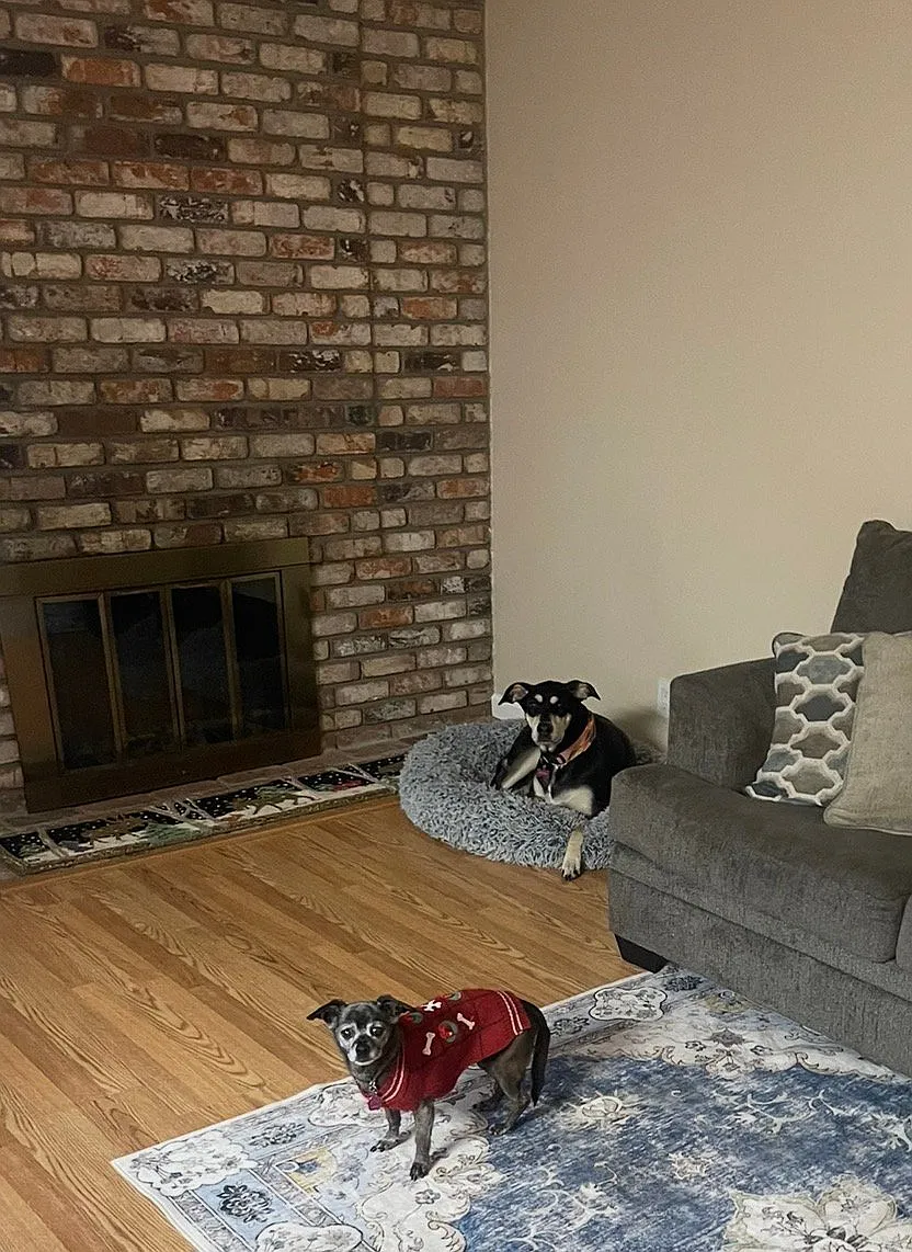 1 bed, 1794 sqft, $1,450 — Photo 2