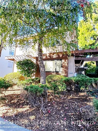 1609 Addison St #5 Photo 1