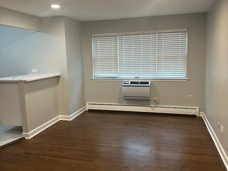 420 W Aldine Ave #523 — Photo 10