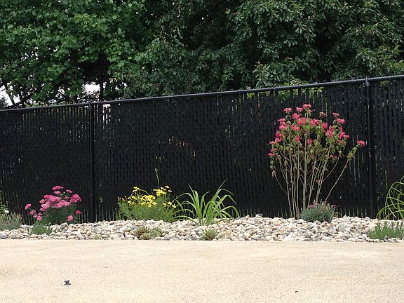 Flowers/plants around pool