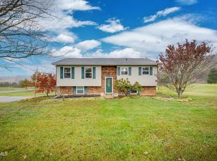 904 Hermitage Ln, Mt Carmel, TN 37645