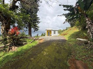780 Saint Km09 Bo Palomas, Comerio, PR 00782