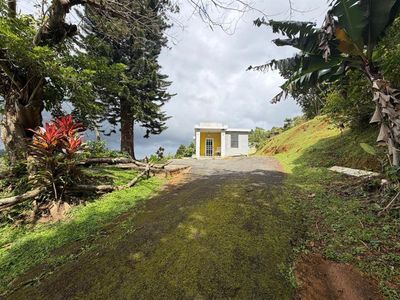 780 Saint Km09 Bo Palomas, Comerio, PR, 00782