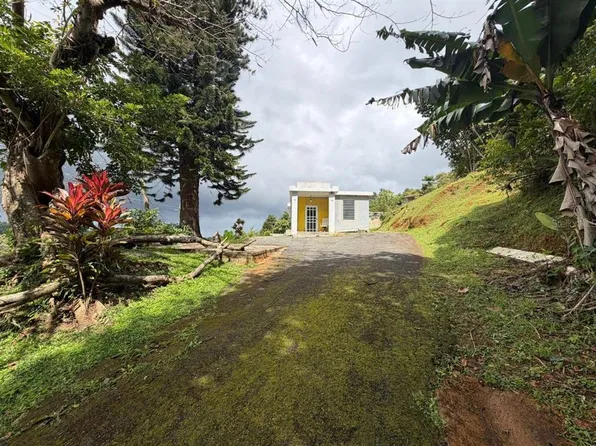 780 Saint Km09 Bo Palomas, Comerio, PR 00782