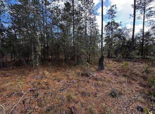 SE 133rd Ave #21, Dunnellon, FL 34431