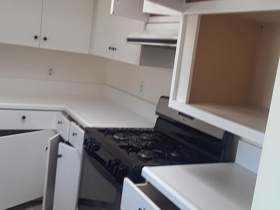 5th image of 167 Halsey St