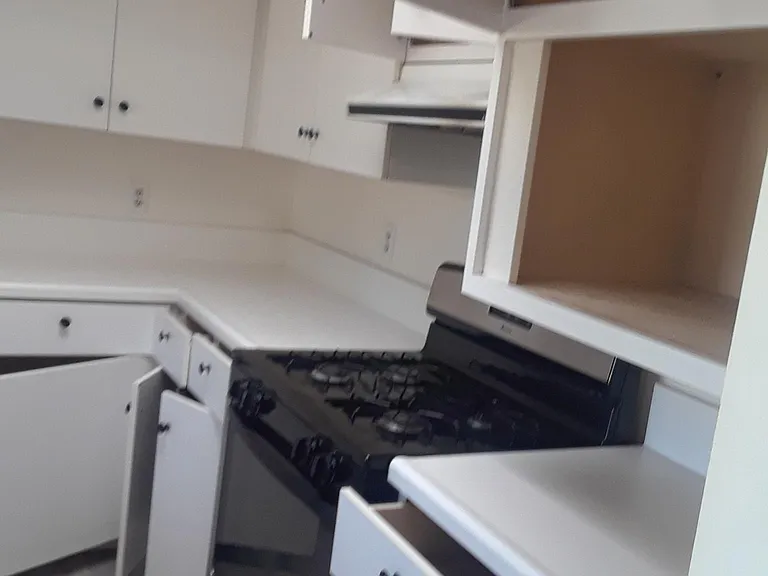 167 Halsey St — Photo 5