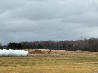 24972 Plank Rd #87, Calcium, NY 13616