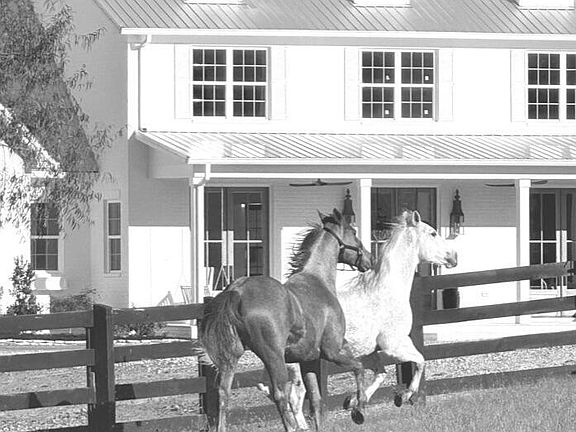 62nd image of 60 Proctor Rd