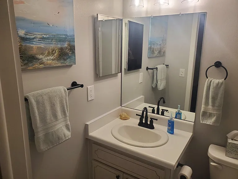 Primary bathroom with walk in shower