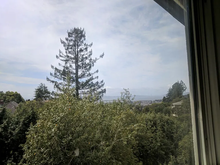 Views