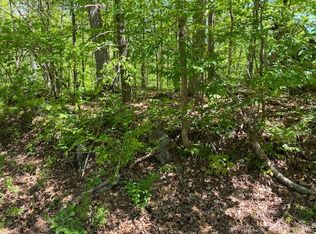 Laurel Rd, Townsend, TN 37882