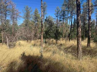 Dixwood Dr, Timberon, NM 88350