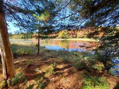 0 Clifford Lake Road, Princeton, ME, 04668