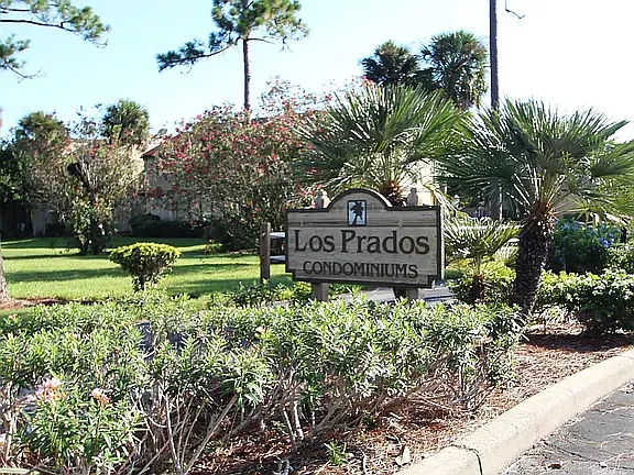7651 Las Palmas Way — Photo 12