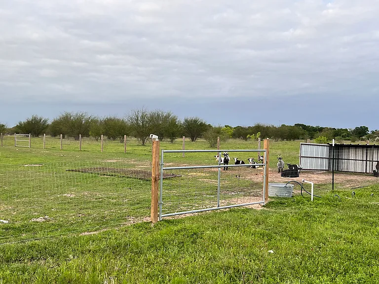 2887 W FM 1093 Rd — Photo 8