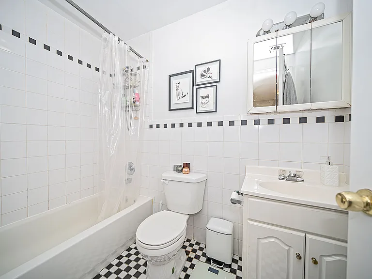 234 Franklin Ave #3F — Photo 8
