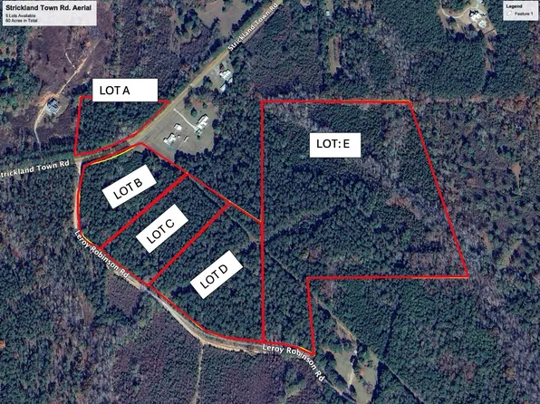 0 Strickland Town Rd Tract 5, Luthersville, GA 30251