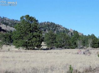 775 Pikes Trl, Guffey, CO 80820