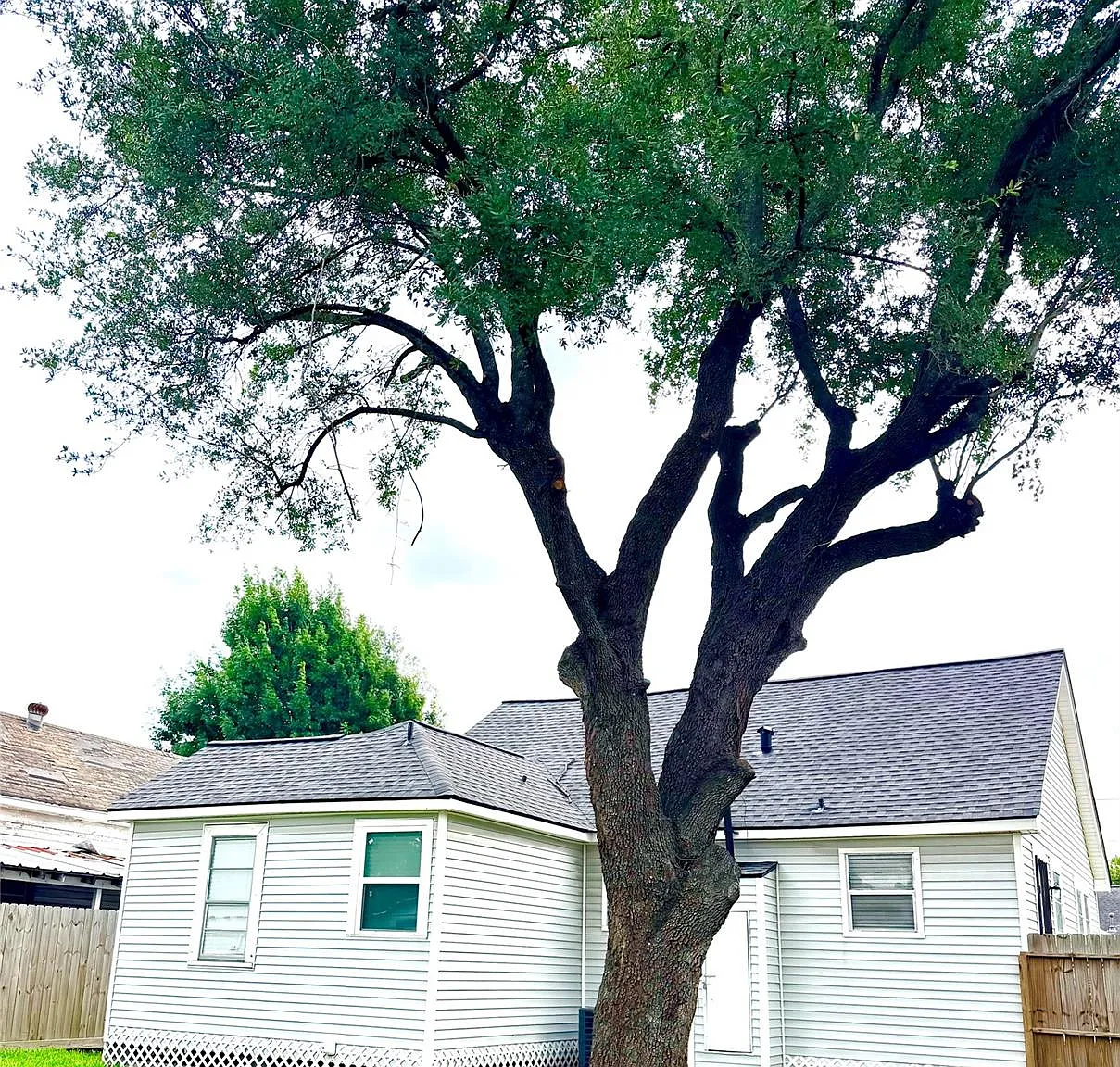 2 bed, 1.5 bath, 1072 sqft, $1,450 — Photo 4